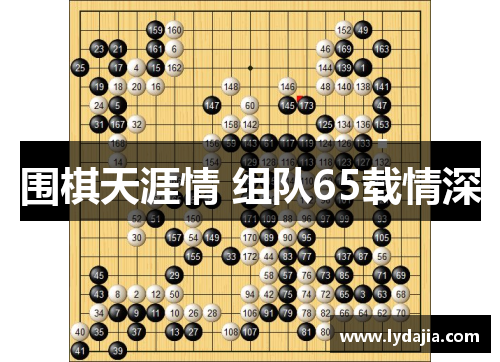 围棋天涯情 组队65载情深
